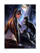 DC Comics Art Print Catwoman: Girl's Best Friend 41 x 61 cm - nezarámovaný